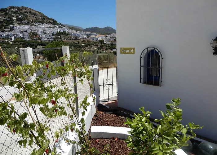 Casa14 弗里希利亚纳